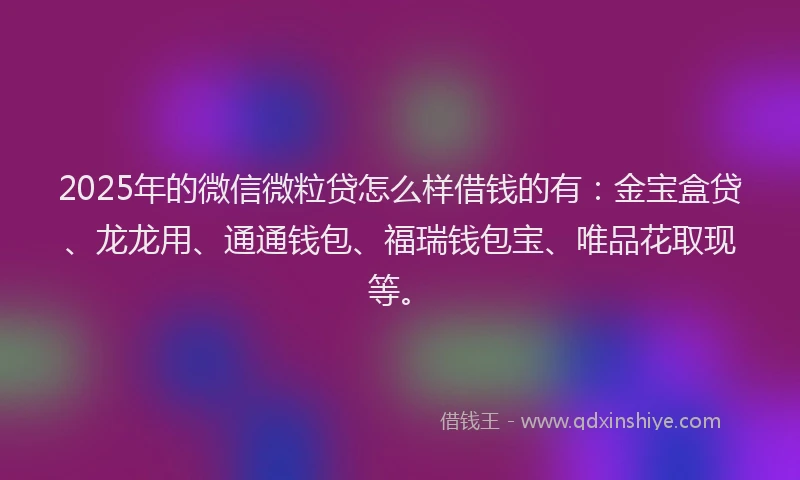 2025年的微信微粒贷怎么样借钱的有：金宝盒贷、龙龙用、通通钱包、福瑞钱包宝、唯品花取现等。