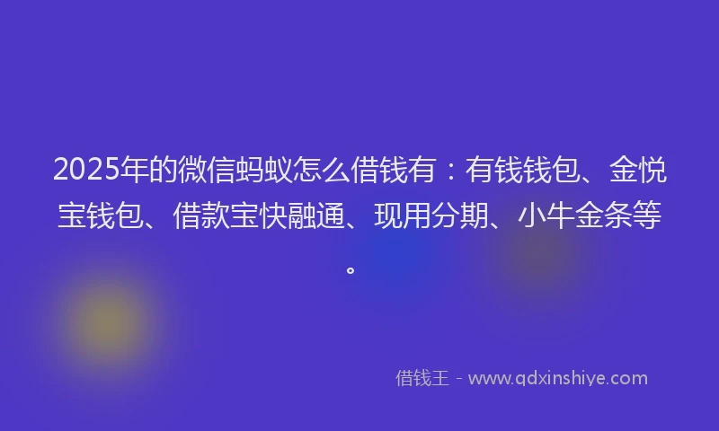 2025年的微信蚂蚁怎么借钱有：有钱钱包、金悦宝钱包、借款宝快融通、现用分期、小牛金条等。