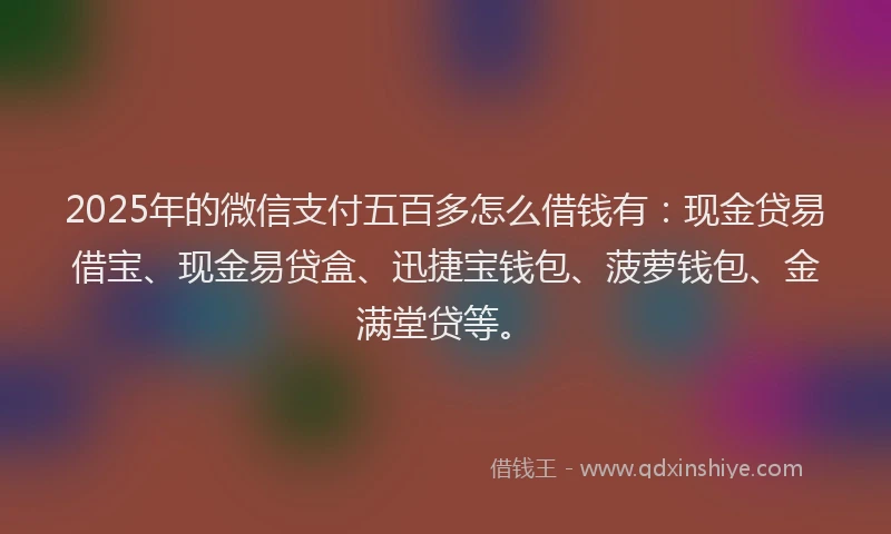 2025年的微信支付五百多怎么借钱有：现金贷易借宝、现金易贷盒、迅捷宝钱包、菠萝钱包、金满堂贷等。
