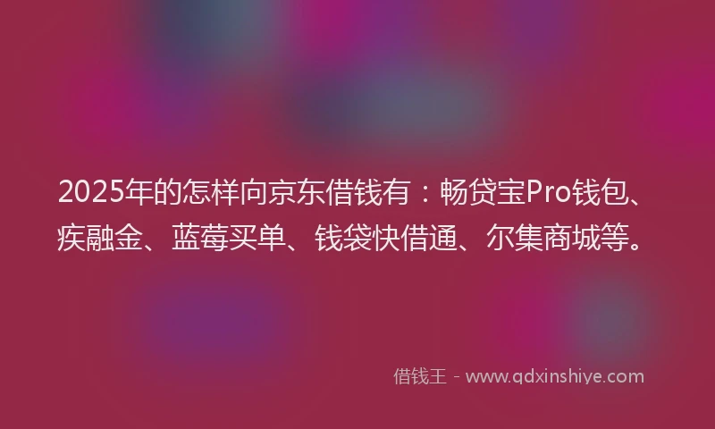 2025年的怎样向京东借钱有：畅贷宝Pro钱包、疾融金、蓝莓买单、钱袋快借通、尔集商城等。