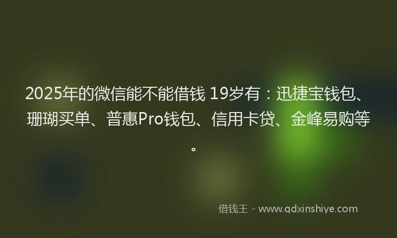 2025年的微信能不能借钱 19岁有：迅捷宝钱包、珊瑚买单、普惠Pro钱包、信用卡贷、金峰易购等。
