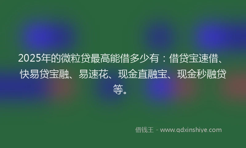 2025年的微粒贷最高能借多少有：借贷宝速借、快易贷宝融、易速花、现金直融宝、现金秒融贷等。