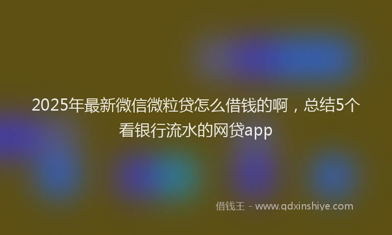 2025年最新微信微粒贷怎么借钱的啊，总结5个看银行流水的网贷app
