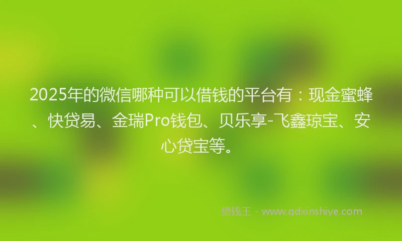 2025年的微信哪种可以借钱的平台有：现金蜜蜂、快贷易、金瑞Pro钱包、贝乐享-飞鑫琼宝、安心贷宝等。