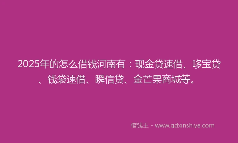 2025年的怎么借钱河南有：现金贷速借、哆宝贷、钱袋速借、瞬信贷、金芒果商城等。