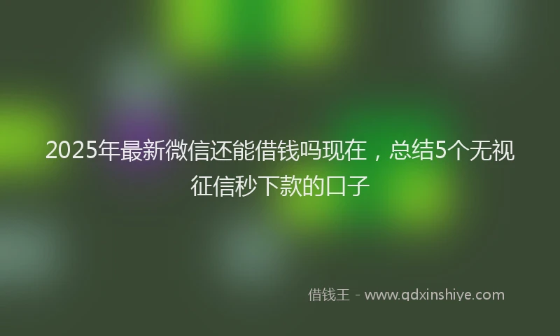 2025年最新微信还能借钱吗现在，总结5个无视征信秒下款的口子