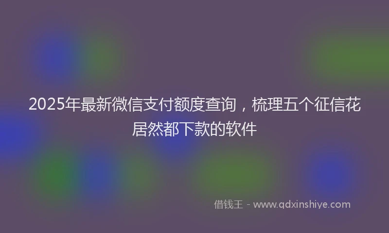 2025年最新微信支付额度查询，梳理五个征信花居然都下款的软件