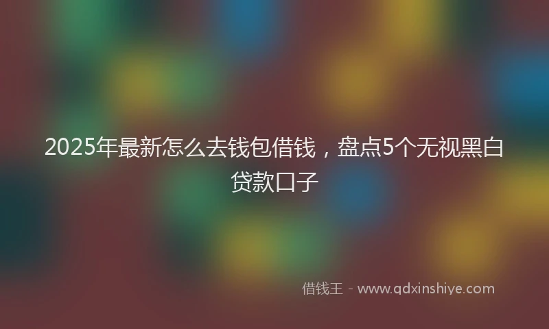 2025年最新怎么去钱包借钱，盘点5个无视黑白贷款口子