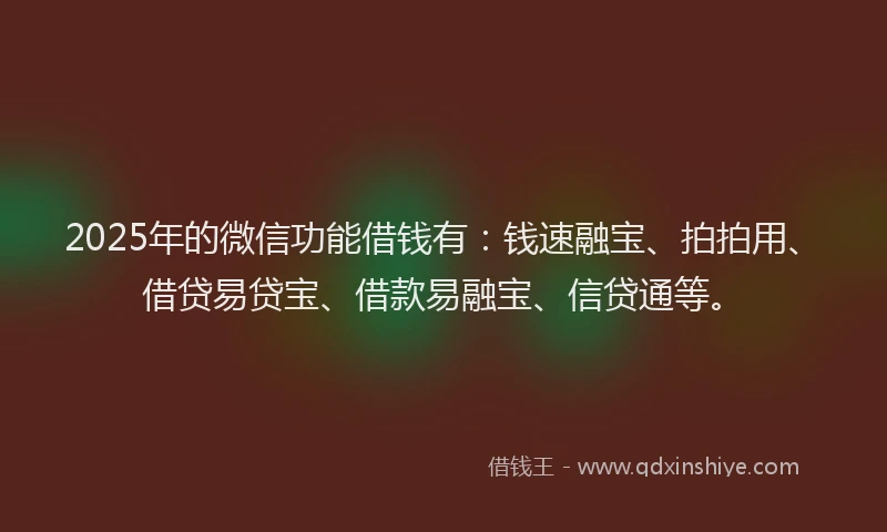 2025年的微信功能借钱有：钱速融宝、拍拍用、借贷易贷宝、借款易融宝、信贷通等。