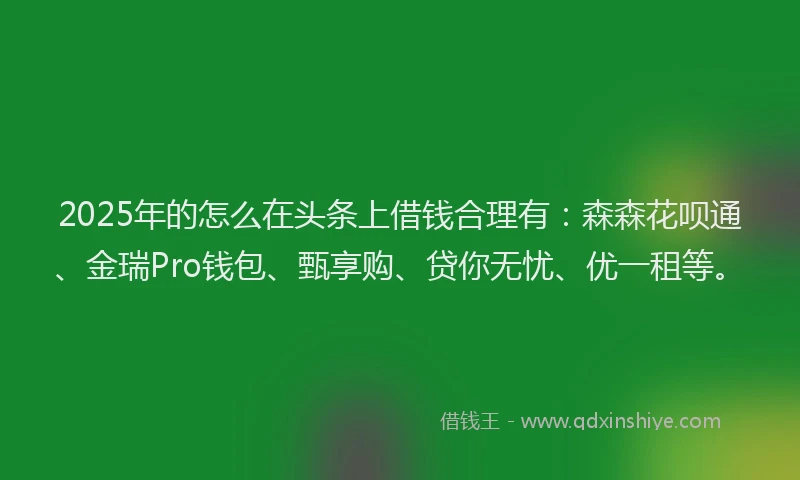 2025年的怎么在头条上借钱合理有：森森花呗通、金瑞Pro钱包、甄享购、贷你无忧、优一租等。