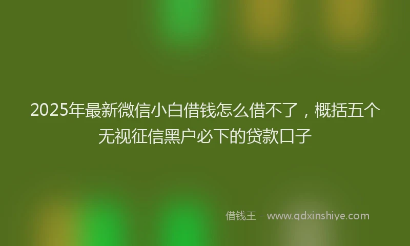 2025年最新微信小白借钱怎么借不了，概括五个无视征信黑户必下的贷款口子