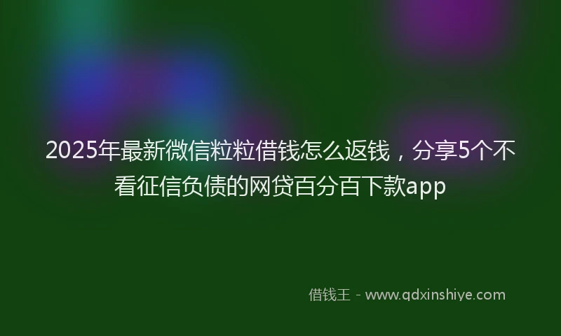 2025年最新微信粒粒借钱怎么返钱，分享5个不看征信负债的网贷百分百下款app