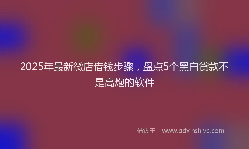 2025年最新微店借钱步骤，盘点5个黑白贷款不是高炮的软件