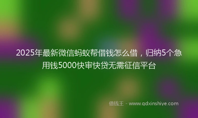 2025年最新微信蚂蚁帮借钱怎么借，归纳5个急用钱5000快审快贷无需征信平台