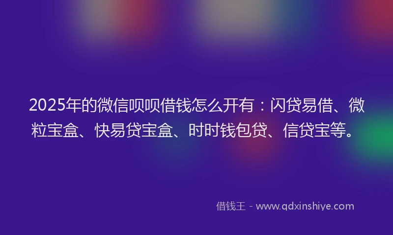 2025年的微信呗呗借钱怎么开有：闪贷易借、微粒宝盒、快易贷宝盒、时时钱包贷、信贷宝等。