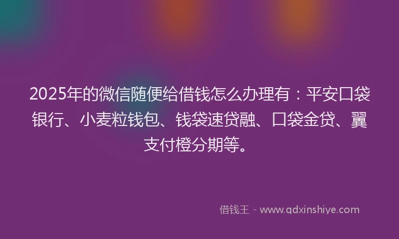 2025年的微信随便给借钱怎么办理有：平安口袋银行、小麦粒钱包、钱袋速贷融、口袋金贷、翼支付橙分期等。