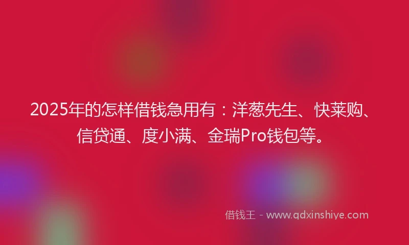 2025年的怎样借钱急用有：洋葱先生、快莱购、信贷通、度小满、金瑞Pro钱包等。