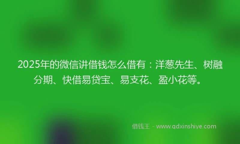 2025年的微信讲借钱怎么借有：洋葱先生、树融分期、快借易贷宝、易支花、盈小花等。