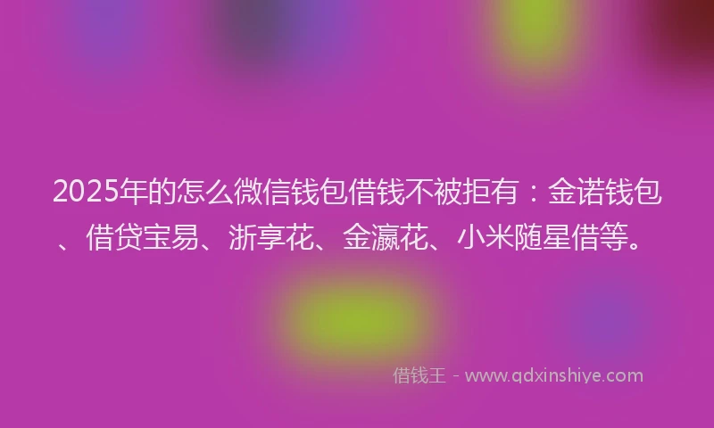 2025年的怎么微信钱包借钱不被拒有：金诺钱包、借贷宝易、浙享花、金瀛花、小米随星借等。