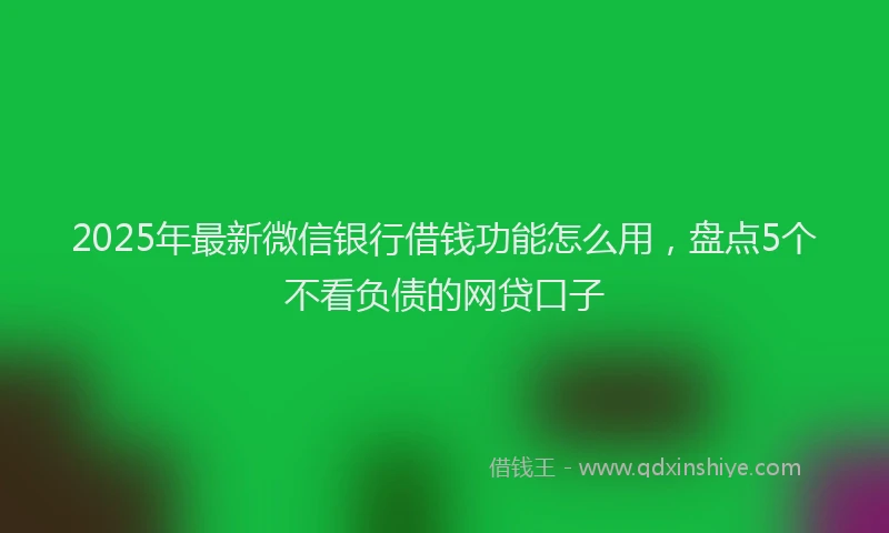 2025年最新微信银行借钱功能怎么用，盘点5个不看负债的网贷口子