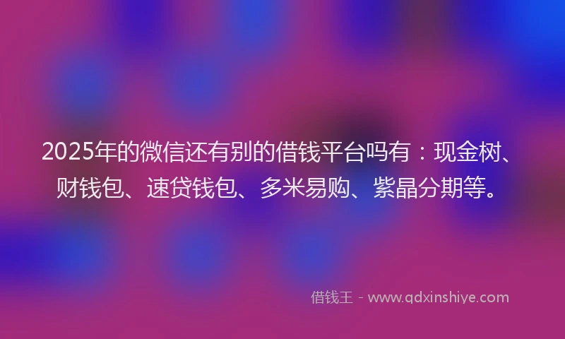 2025年的微信还有别的借钱平台吗有：现金树、财钱包、速贷钱包、多米易购、紫晶分期等。
