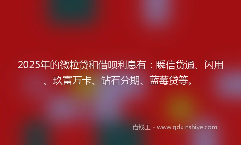 2025年的微粒贷和借呗利息有：瞬信贷通、闪用、玖富万卡、钻石分期、蓝莓贷等。