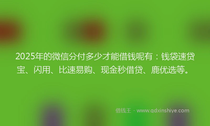 2025年的微信分付多少才能借钱呢有：钱袋速贷宝、闪用、比速易购、现金秒借贷、鹿优选等。