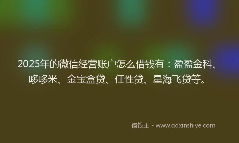 2025年的微信经营账户怎么借钱有：盈盈金科、哆哆米、金宝盒贷、任性贷、星海飞贷等。