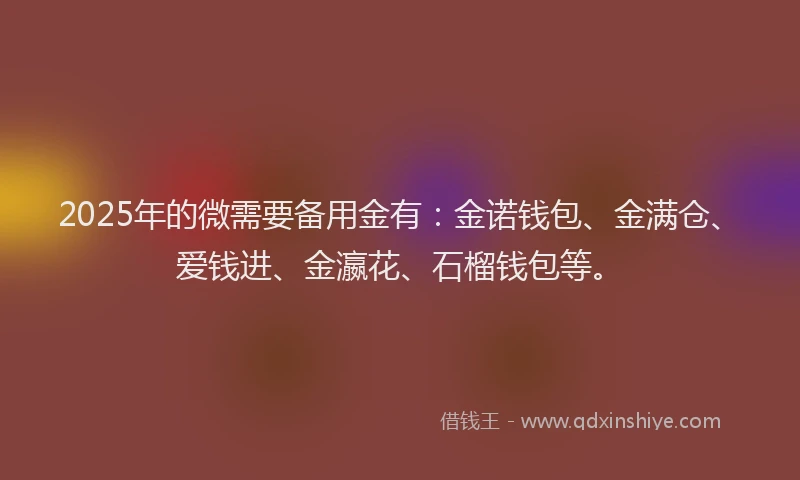2025年的微需要备用金有：金诺钱包、金满仓、爱钱进、金瀛花、石榴钱包等。