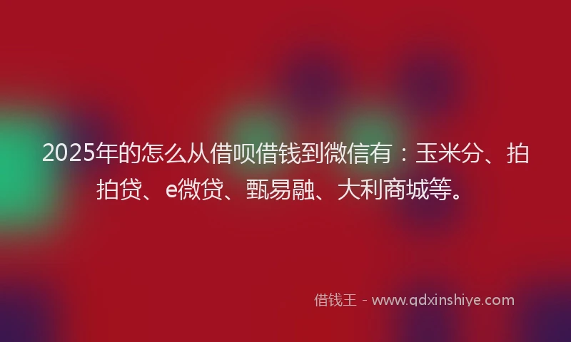 2025年的怎么从借呗借钱到微信有：玉米分、拍拍贷、e微贷、甄易融、大利商城等。