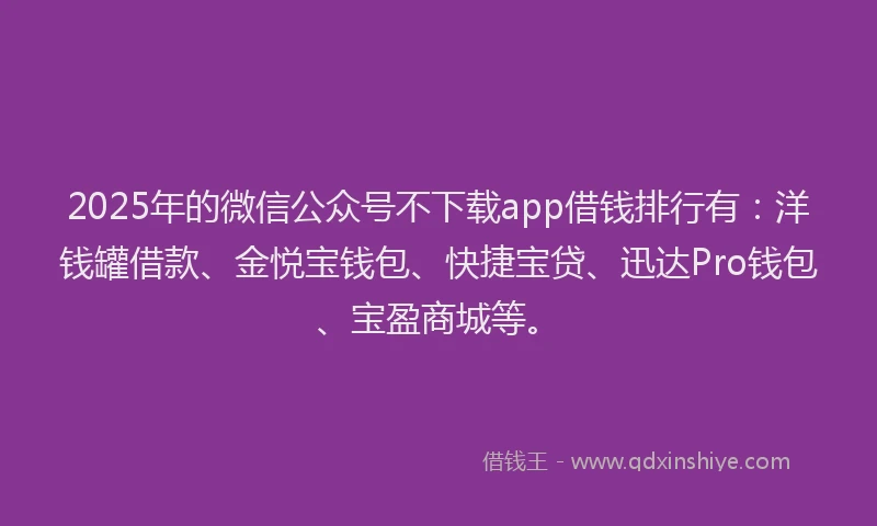 2025年的微信公众号不下载app借钱排行有：洋钱罐借款、金悦宝钱包、快捷宝贷、迅达Pro钱包、宝盈商城等。