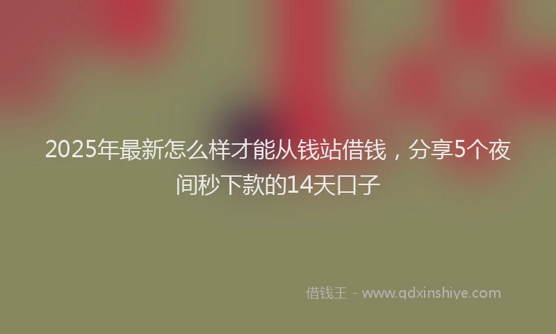 2025年最新怎么样才能从钱站借钱，分享5个夜间秒下款的14天口子
