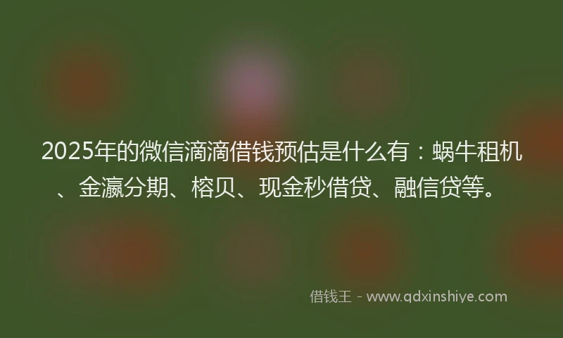 2025年的微信滴滴借钱预估是什么有：蜗牛租机、金瀛分期、榕贝、现金秒借贷、融信贷等。