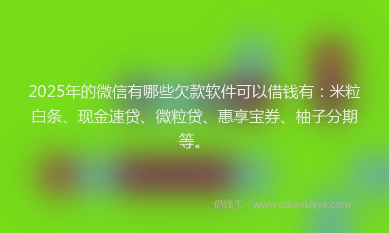 2025年的微信有哪些欠款软件可以借钱有：米粒白条、现金速贷、微粒贷、惠享宝券、柚子分期等。