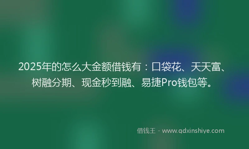 2025年的怎么大金额借钱有：口袋花、天天富、树融分期、现金秒到融、易捷Pro钱包等。