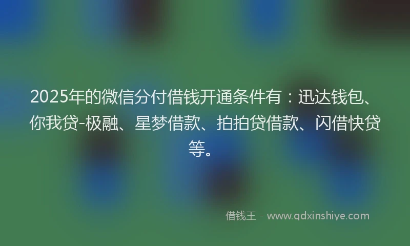 2025年的微信分付借钱开通条件有：迅达钱包、你我贷-极融、星梦借款、拍拍贷借款、闪借快贷等。