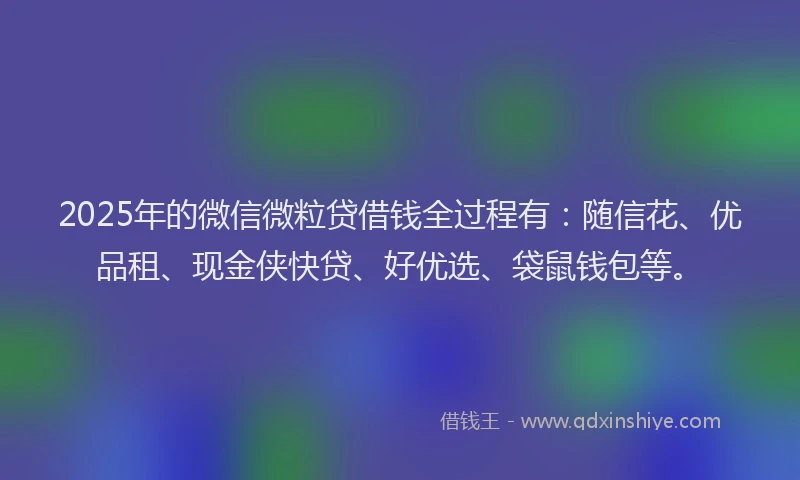 2025年的微信微粒贷借钱全过程有：随信花、优品租、现金侠快贷、好优选、袋鼠钱包等。