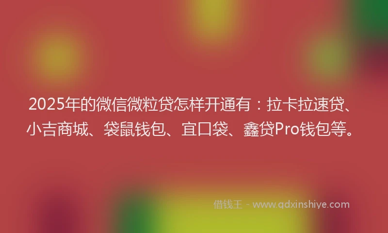 2025年的微信微粒贷怎样开通有：拉卡拉速贷、小吉商城、袋鼠钱包、宜口袋、鑫贷Pro钱包等。