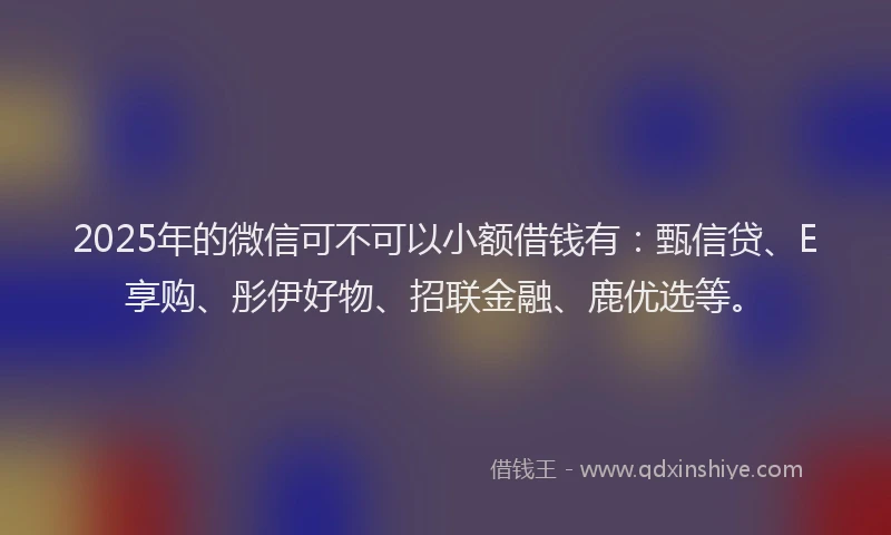 2025年的微信可不可以小额借钱有：甄信贷、E享购、彤伊好物、招联金融、鹿优选等。