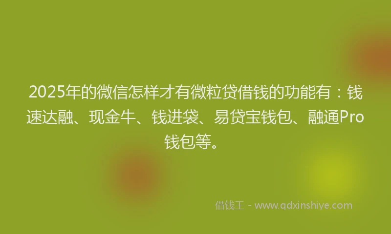 2025年的微信怎样才有微粒贷借钱的功能有：钱速达融、现金牛、钱进袋、易贷宝钱包、融通Pro钱包等。