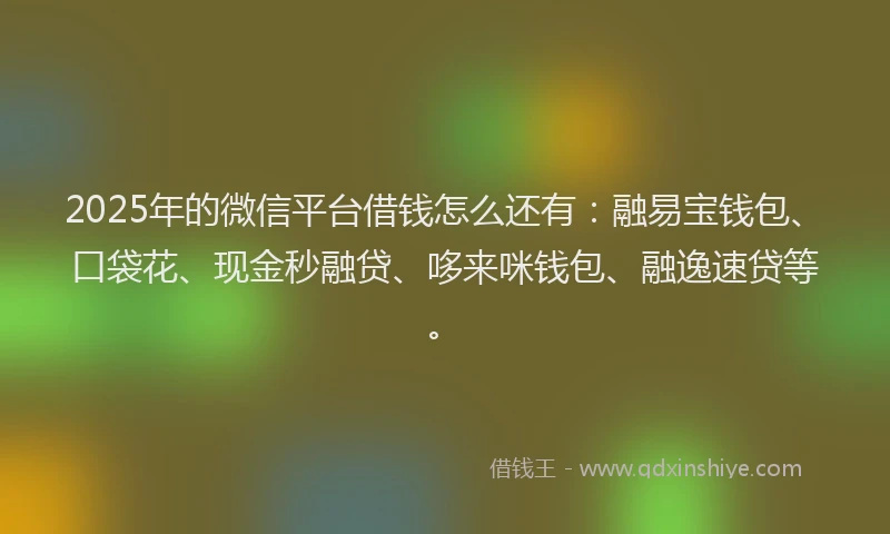 2025年的微信平台借钱怎么还有：融易宝钱包、口袋花、现金秒融贷、哆来咪钱包、融逸速贷等。