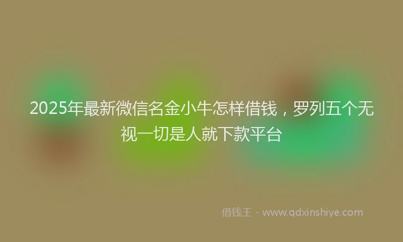 2025年最新微信名金小牛怎样借钱，罗列五个无视一切是人就下款平台