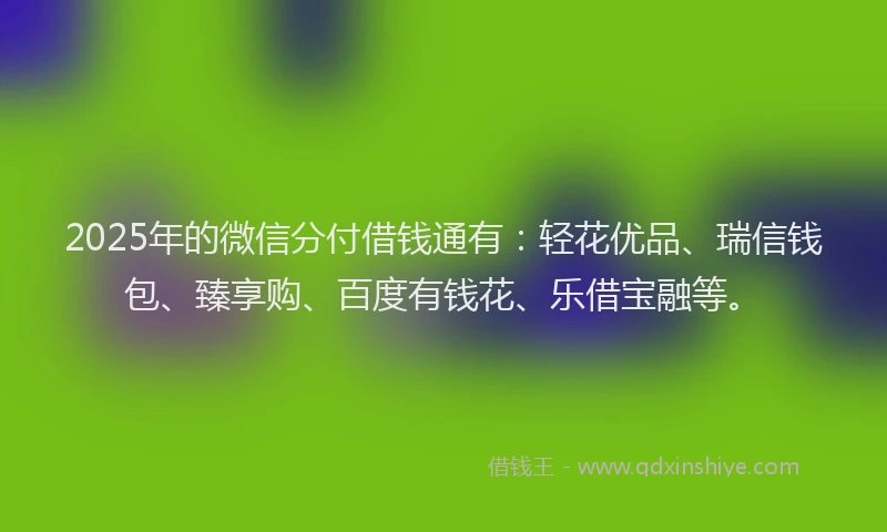 2025年的微信分付借钱通有：轻花优品、瑞信钱包、臻享购、百度有钱花、乐借宝融等。