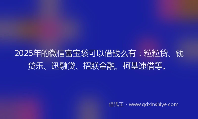 2025年的微信富宝袋可以借钱么有：粒粒贷、钱贷乐、迅融贷、招联金融、柯基速借等。