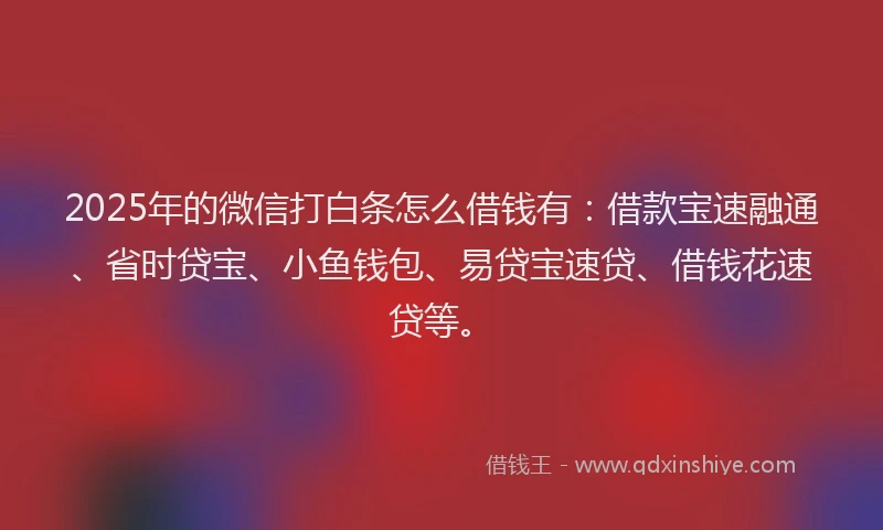 2025年的微信打白条怎么借钱有：借款宝速融通、省时贷宝、小鱼钱包、易贷宝速贷、借钱花速贷等。