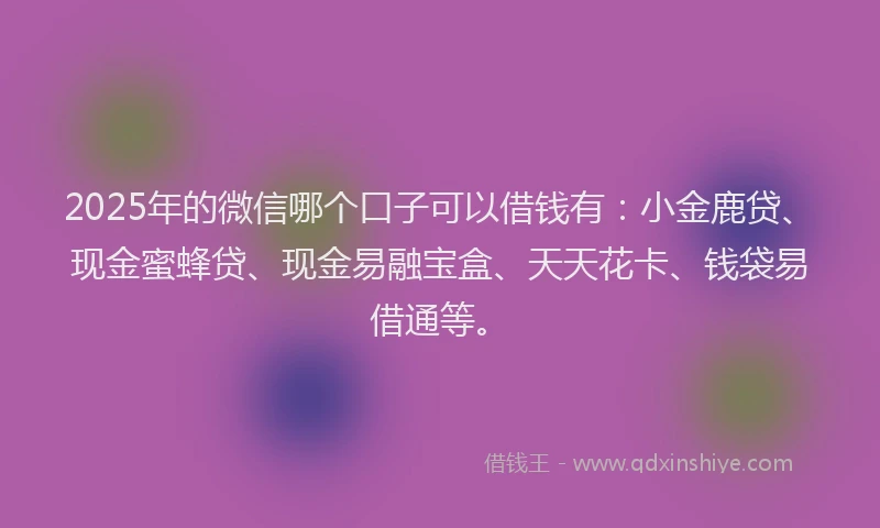 2025年的微信哪个口子可以借钱有：小金鹿贷、现金蜜蜂贷、现金易融宝盒、天天花卡、钱袋易借通等。