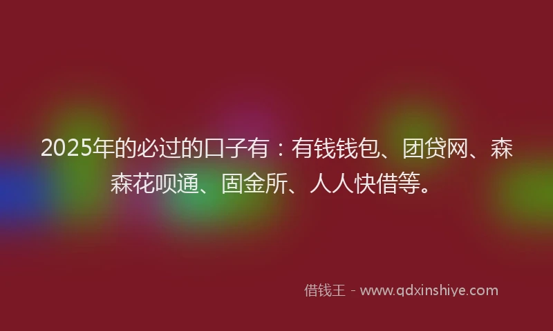 2025年的必过的口子有：有钱钱包、团贷网、森森花呗通、固金所、人人快借等。