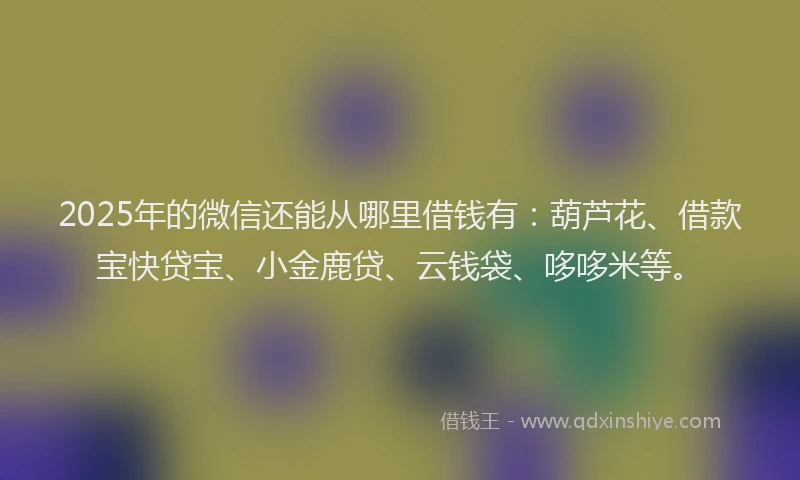 2025年的微信还能从哪里借钱有：葫芦花、借款宝快贷宝、小金鹿贷、云钱袋、哆哆米等。