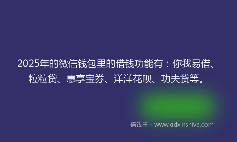 2025年的微信钱包里的借钱功能有：你我易借、粒粒贷、惠享宝券、洋洋花呗、功夫贷等。
