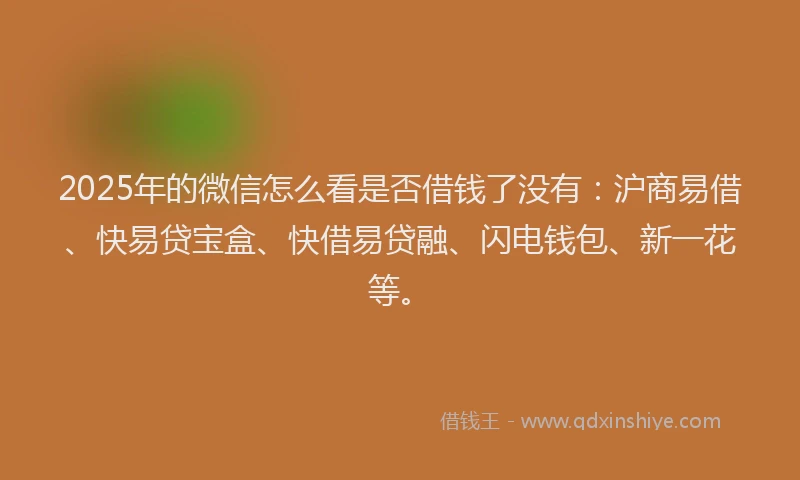 2025年的微信怎么看是否借钱了没有：沪商易借、快易贷宝盒、快借易贷融、闪电钱包、新一花等。